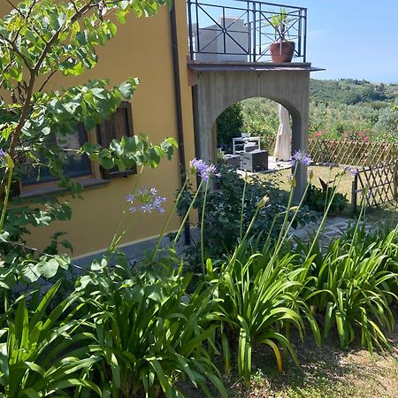 Villa Antonella Castellina Marittima Exterior foto