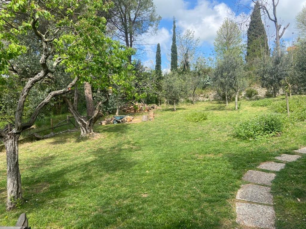 Villa Antonella Castellina Marittima Exterior foto