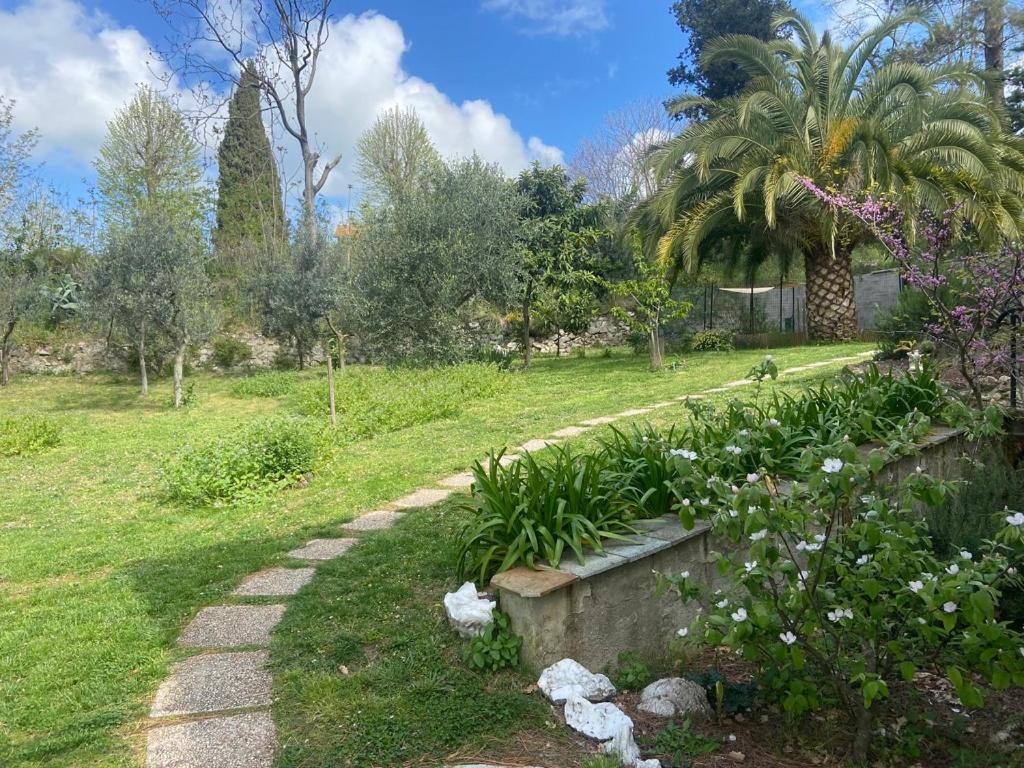 Villa Antonella Castellina Marittima Exterior foto